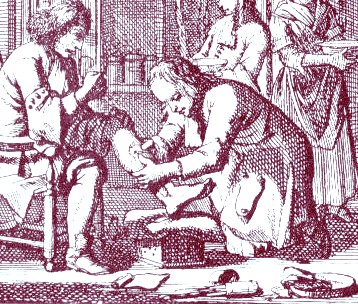 Surgeon Examining a Leg